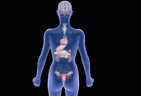 Best Endocrine Surgeons in Faridabad | Dr Manu Shankar